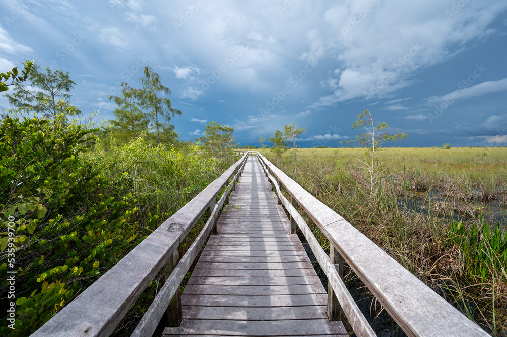 Pa-Hay-Okee boardwalk over sawgrass prairie in Everglades National Park, Florida on stormy overcast day..
