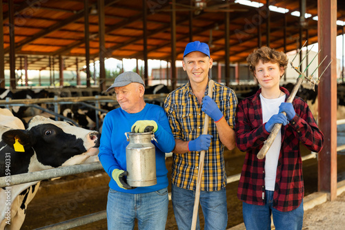 Portrait of three successful farmers at dairy farm with cows in stall in the background © JackF