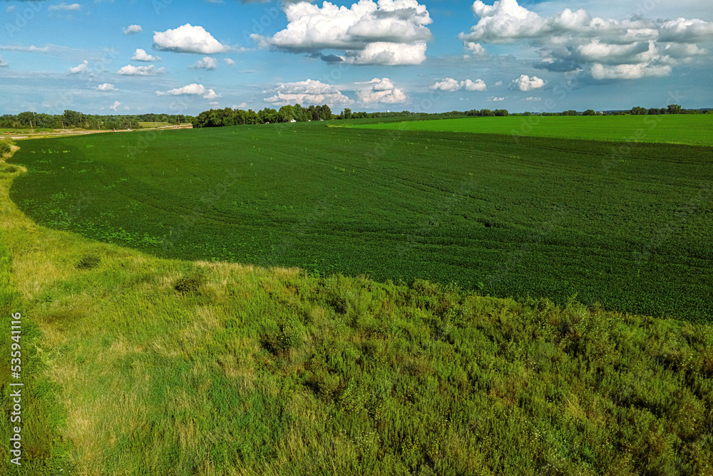 Fototapeta premium Tranquil scene overlooking summertime farm fields