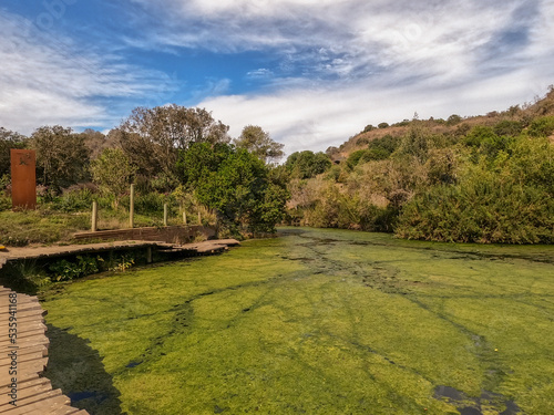 landscape in the park