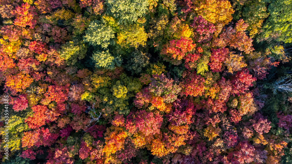 Fall Colours Fall Colours