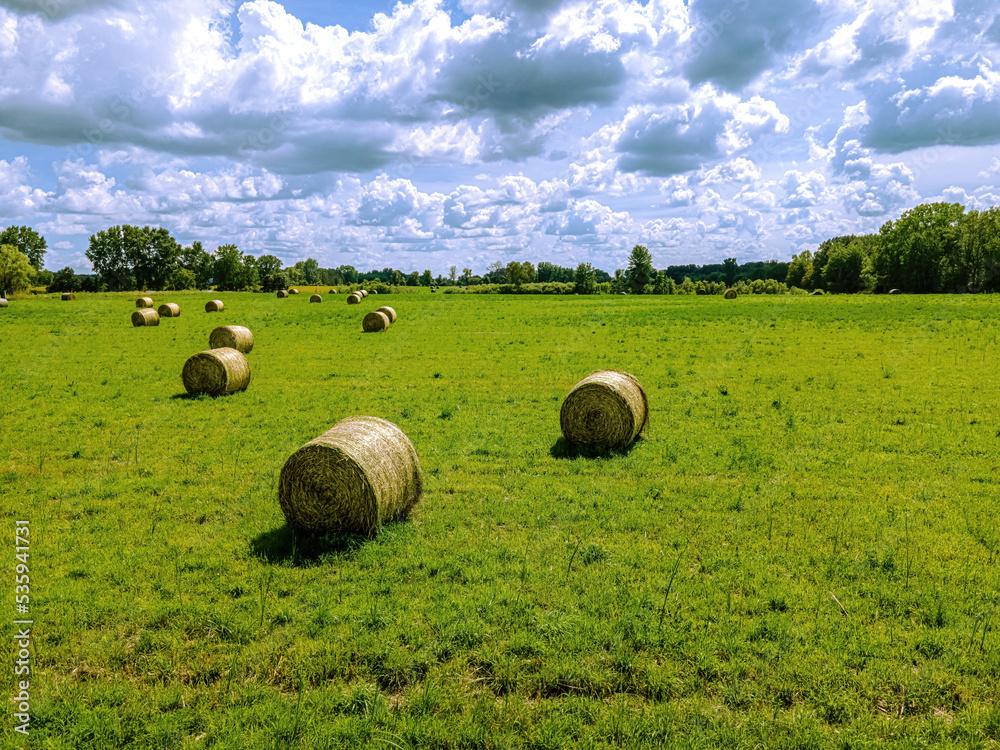 Wisconsin summertime hay field