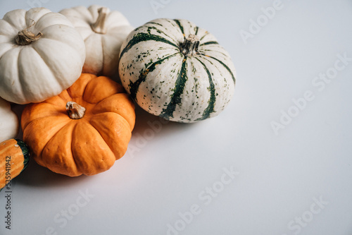 Fall Pumpkin Background Gourds
