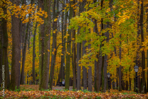 Autumn landscape, October park view with path under colorful deciduous trees
