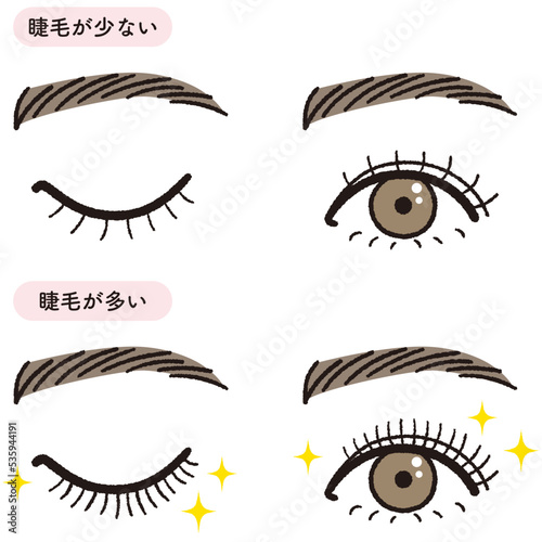 まつ毛の量のイラスト