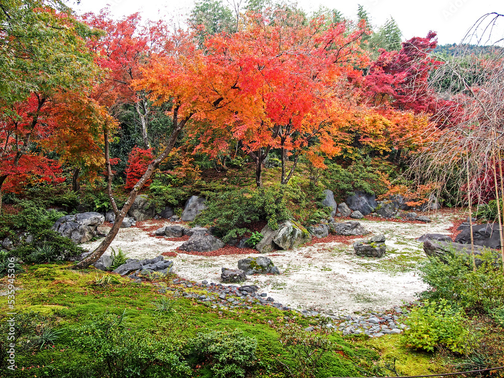 Naklejka premium Decorative of the Japanese Style garden in Autumn season change leaf in Japan