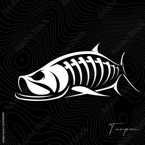 Fish skeleton, Unique and Fresh Skeleton of Tarpon Fish. Great to use as your fishing activity. 