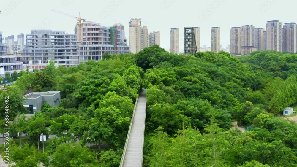 aerial view of road in public park