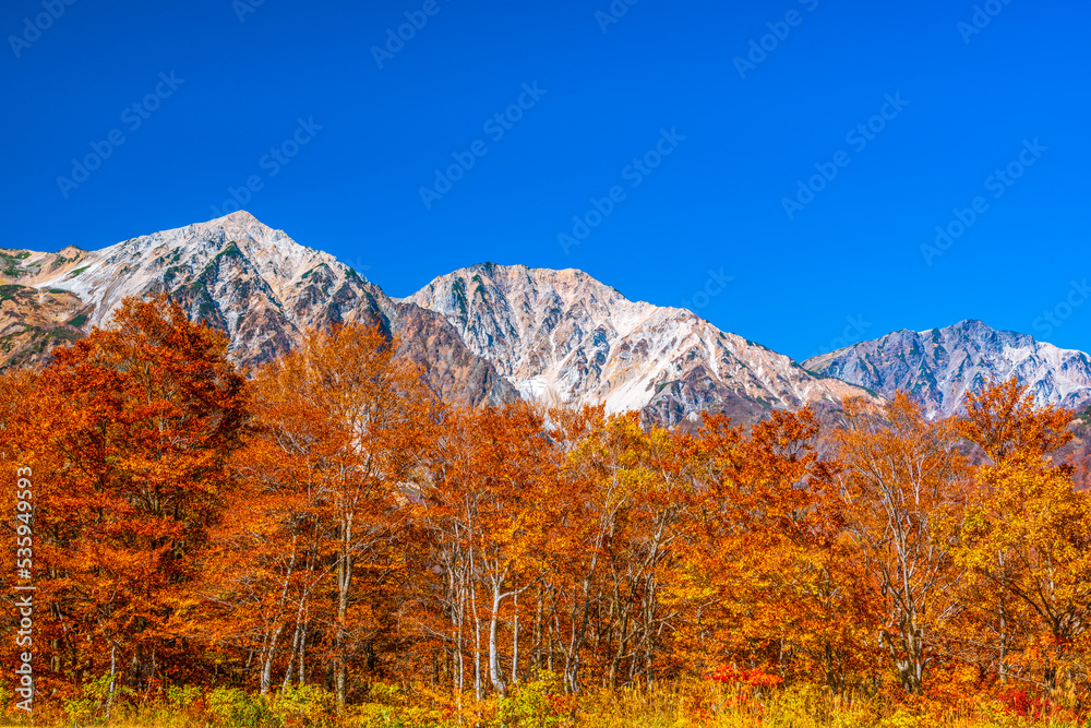 紅葉と白馬三山