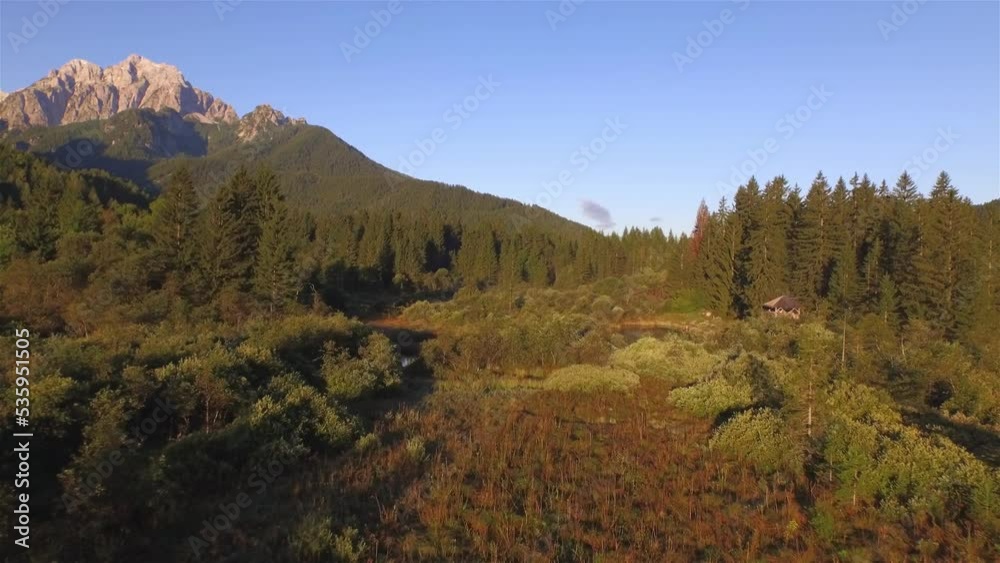 AERIAL: Amazing view of Zelenci nature reserve in warm shades of autumn colors. Picturesque wetland and river spring area with stunning Ponce Mountains backdrop. Beautiful alpine landscape in fall. AERIAL: Amazing view of Zelenci nature reserve in warm shades of autumn colors. Picturesque wetland and river spring area with stunning Ponce Mountains backdrop. Beautiful alpine landscape in fall.