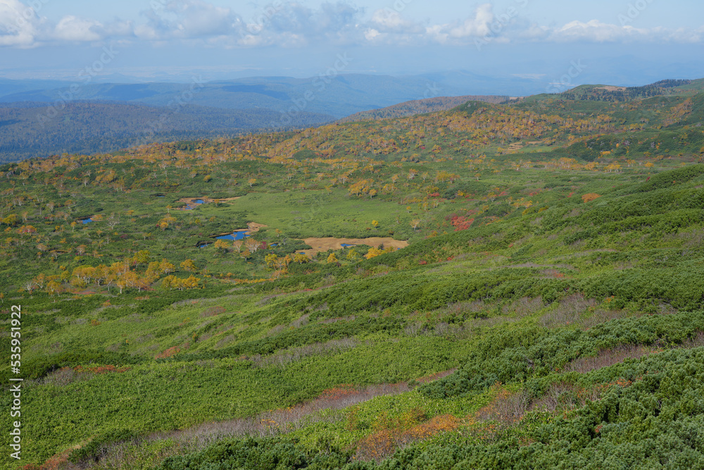 Fototapeta premium 旭岳山麓の御田の原の紅葉