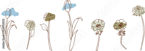 手描きの植物ベクター線画と水彩絵の具のテクスチャーイラスト。Hand-drawn botanical vector line drawings and watercolor textured illustrations.