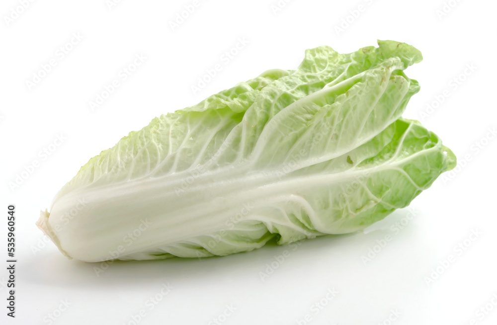 Chinese cabbage or Napa cabbage isolated on white background Chinese cabbage or Napa cabbage isolated on white background