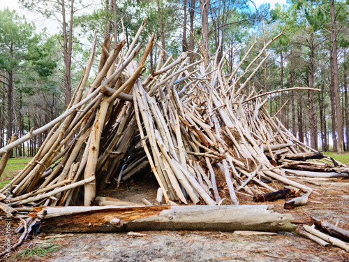 wooden lean-to cubby shelter in pine forest photo