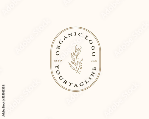 Olive Branch for olive oil logo or olive icon, hand drawn olive branch botanical herbs elements in vector format, floral olive frame and border	
