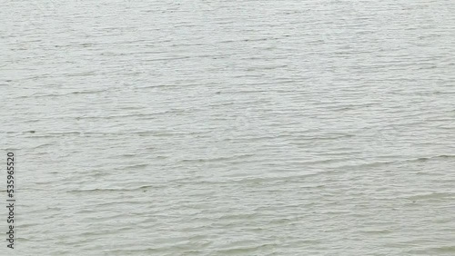 ripple from wind on surface of fresh water
