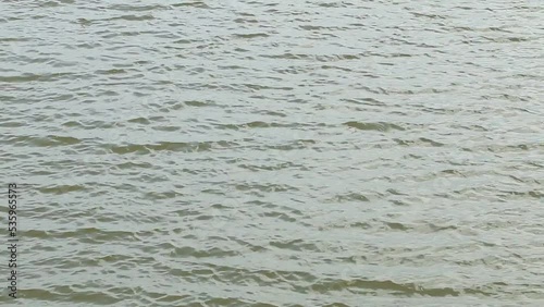 wind makes a wave on surface of fresh water.