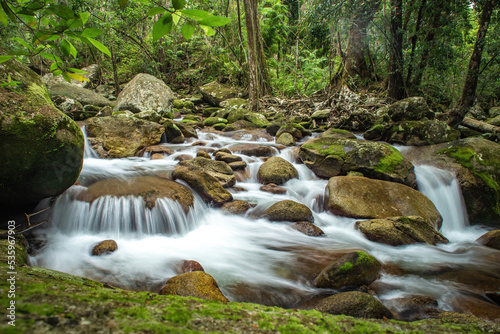Canvastavla Fig Tree Creek