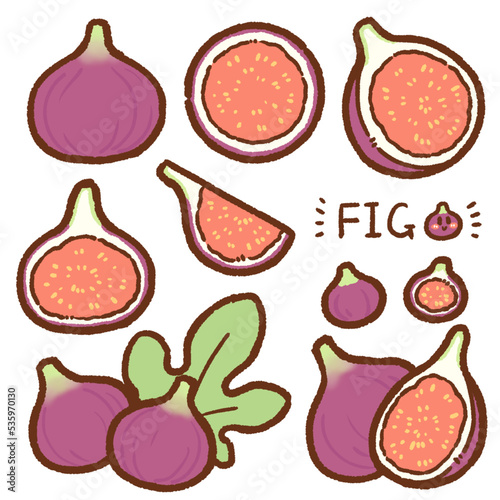 fig cartoon drawing set