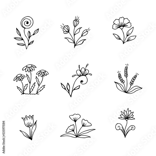 collection of hand drawn botanical flower doodle elements for floral design concept