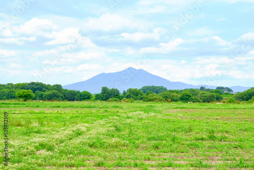 茨城県花と筑波山