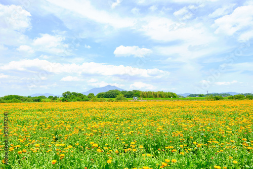 茨城県花と筑波山