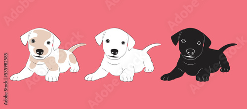 Fototapeta Naklejka Na Ścianę i Meble -  Cute white, black and gray puppy.  Vector illustration of dog breed set in flat style.  Cute dog. Vector illustration isolated on pink background, cartoon funny dogs