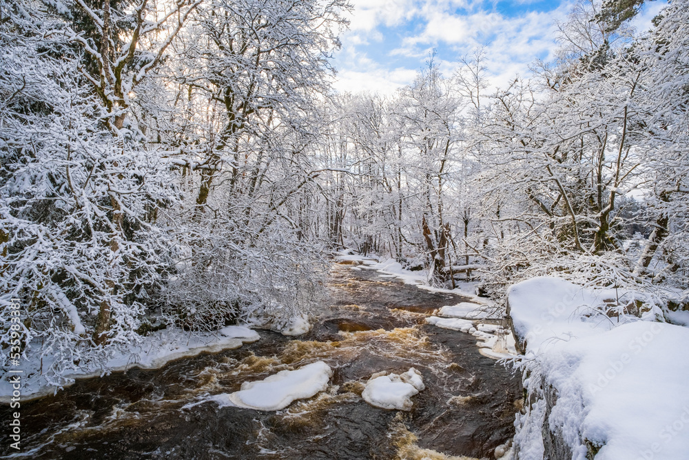 Beautiful rapid river in a wintry forest Beautiful rapid river in a wintry forest