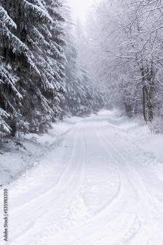 Dirt road in a winter forest © Lars Johansson