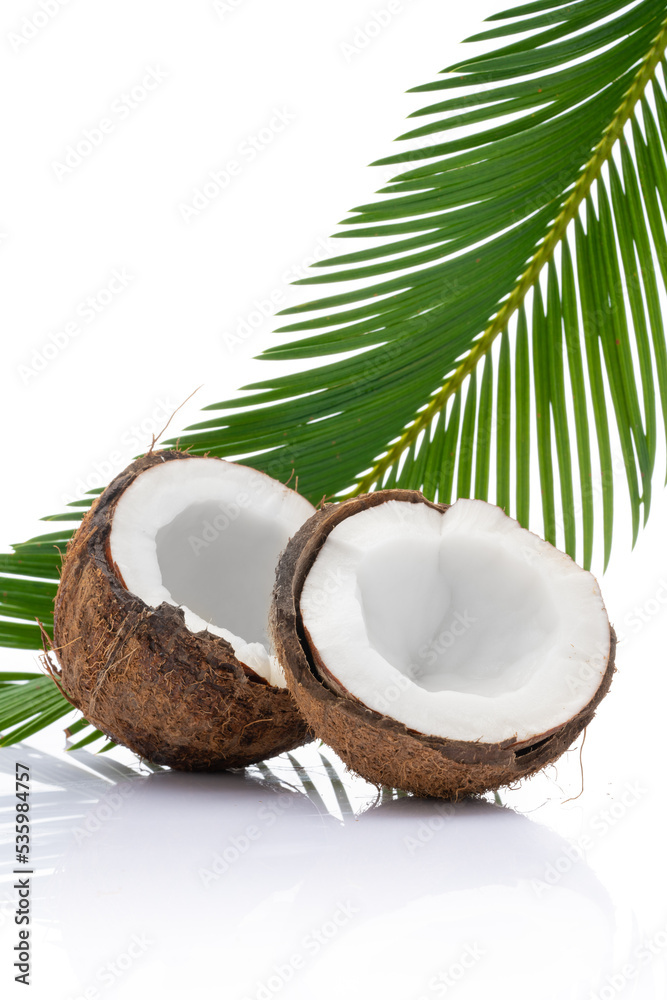 Coconut with leaves on white background