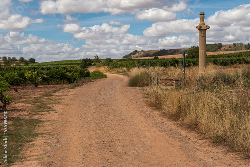 La Picota or Rollo de Azofra stone column, Santiago road and vineyards. La Rioja, Spain. photo
