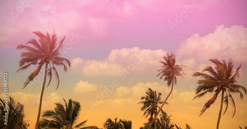 The banner of Summer colorful theme with palm trees background as texture frame background © SASITHORN