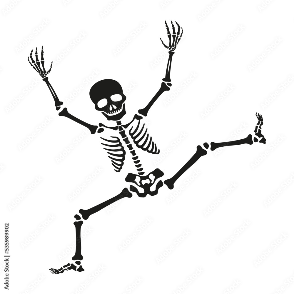 Skeleton poses isolated Skeleton poses isolated