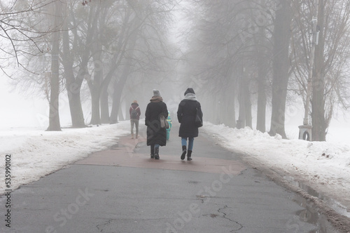 People, foggy alley and trees at Holosiivskyi National Nature Park, Kyiv, Ukraine