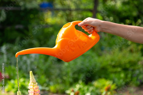 Human hand is watering flowers from a watering can in summer garden