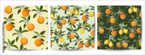 Orange vector set. Seamless citrus pattern. Hand drawn vector illustration with lemons and oranges. Template for print, textile,wallpaper cover and box design.	
