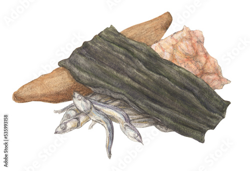 水彩色鉛筆で描いた出汁材料3つ（昆布・煮干し・鰹節）