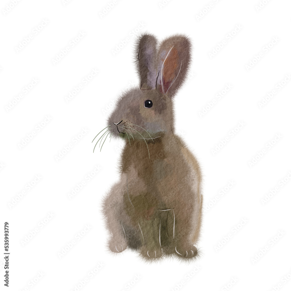 Obraz premium rabbit isolated on white background