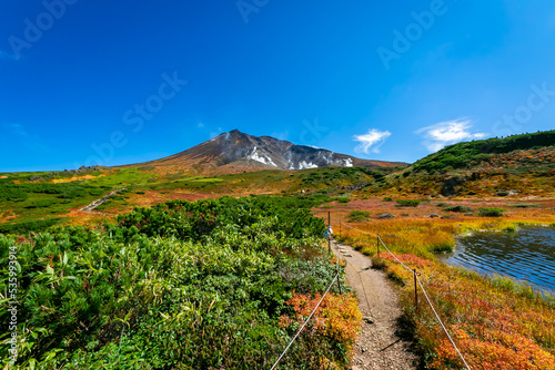 秋の北海道・大雪山の旭岳で見た、カラフルな紅葉や緑の植物と快晴の青空