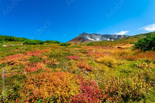 秋の北海道・大雪山の旭岳で見た、山頂方面に向かって広がる紅葉と快晴の青空
