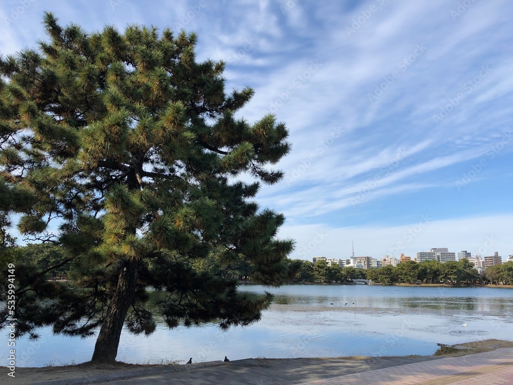 tree and bird on the shore of lake under blue and cloudy sky tree and bird on the shore of lake under blue and cloudy sky