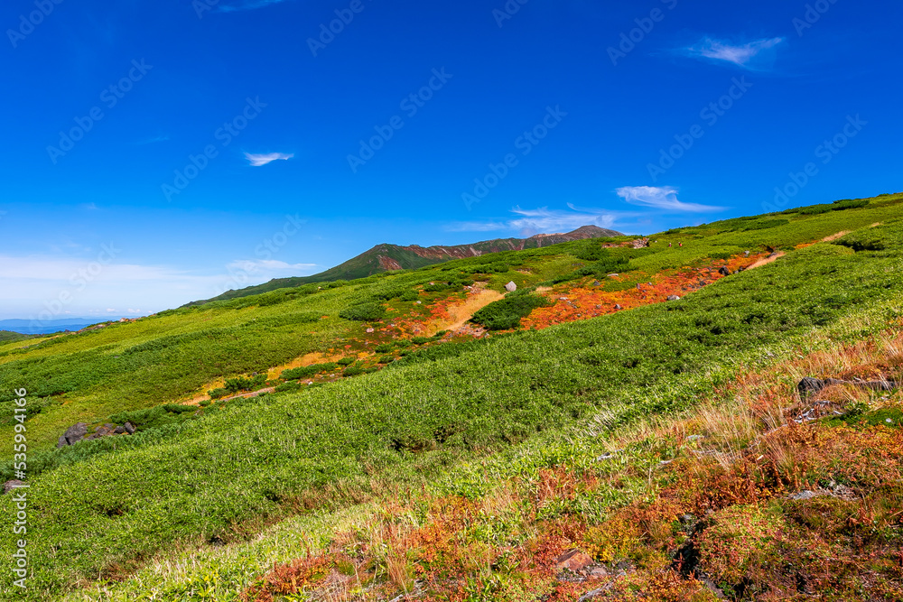 秋の北海道・大雪山の旭岳で見た、山の斜面を彩る紅葉や緑の植物と快晴の青空