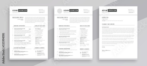 Clean Resume CV Template