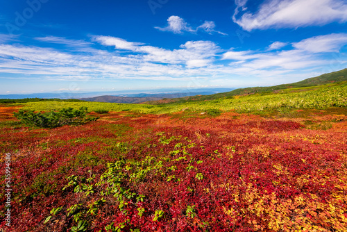 秋の北海道・大雪山の旭岳で見た、赤や黄色のカラフルな紅葉と快晴の青空