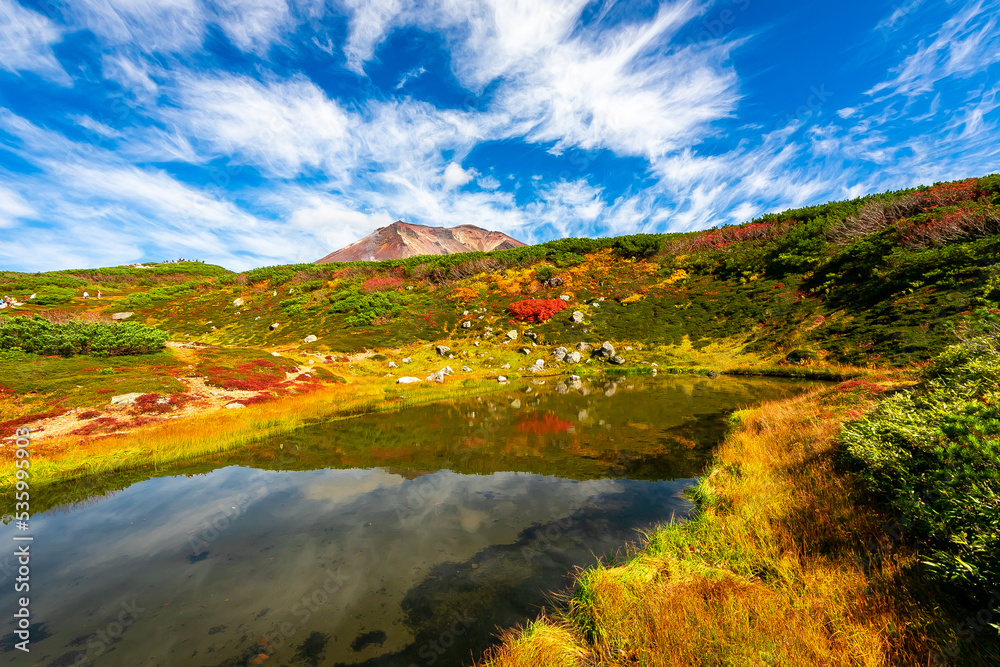 秋の北海道・大雪山の旭岳で見た、池の周りを紅葉や緑の植物と快晴の青空