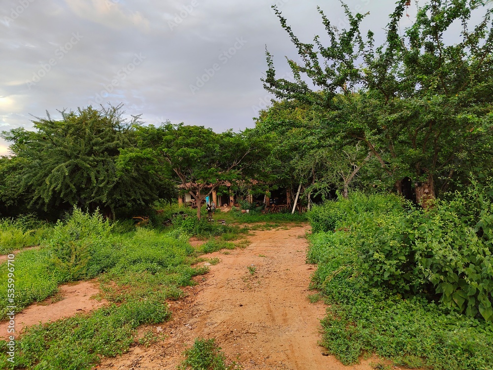 Fototapeta premium rancho