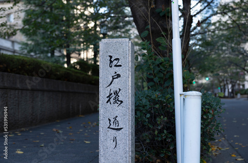 江戸桜通り photo