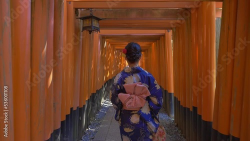 Cinematic shot of a Japanese woman dressed in a traditional Japanese cloth walking through a way surrounded by thousands of red Toris (Japanese spiritual gate). Few tourists are in the distance. photo