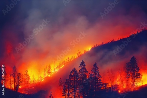 Forest fire, several hectares of pine trees burned. Dry season forest fires photo