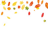 Autumn Leaves Background